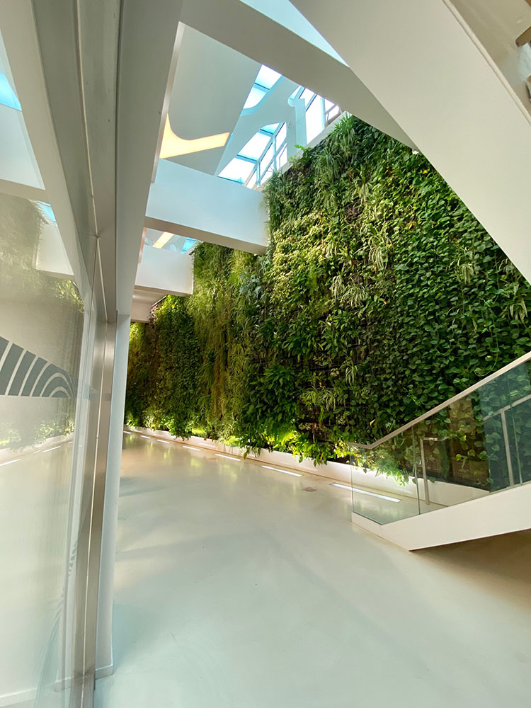 Tracer Urban Nature fait entrer le mur végétalisé dans le monde du luxe