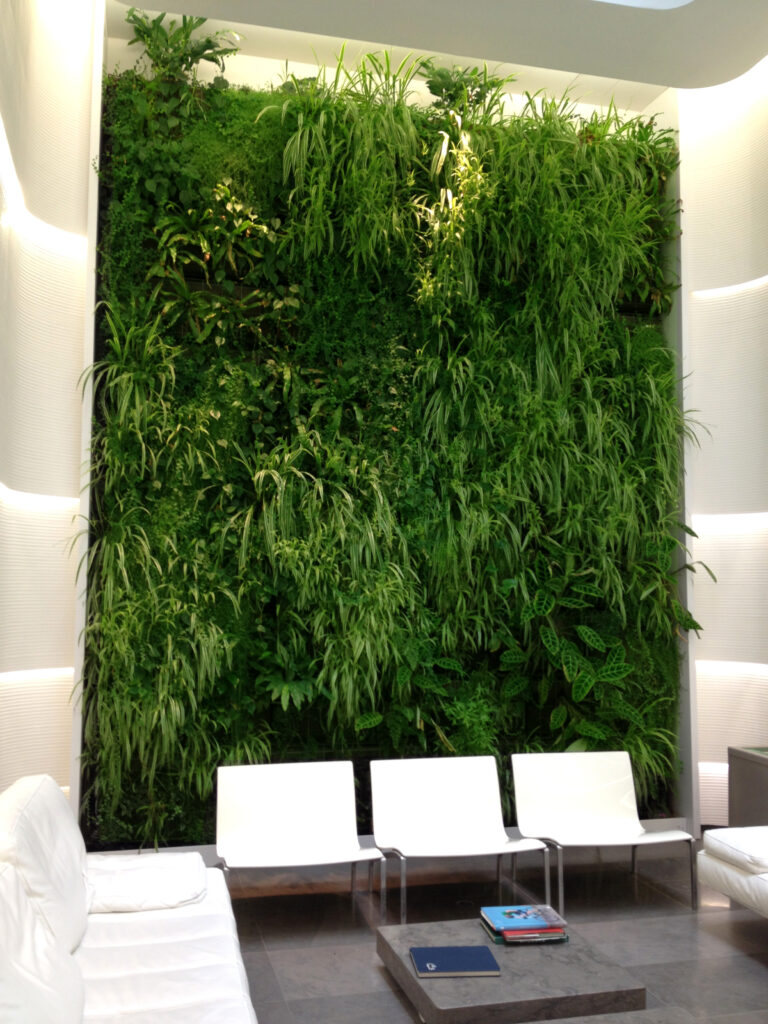 mur végétal intérieur