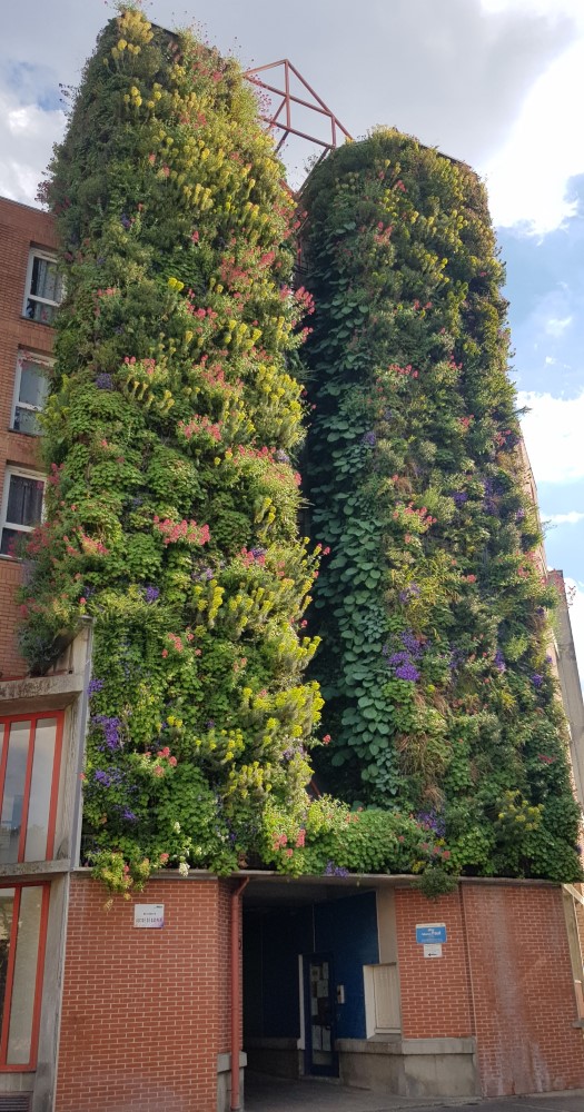 mur végétal exterieur